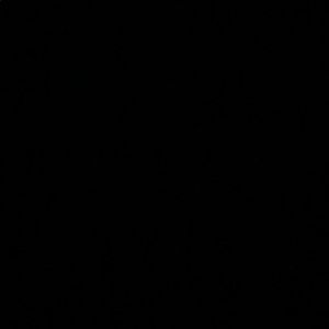 Meet your Posher, Lily